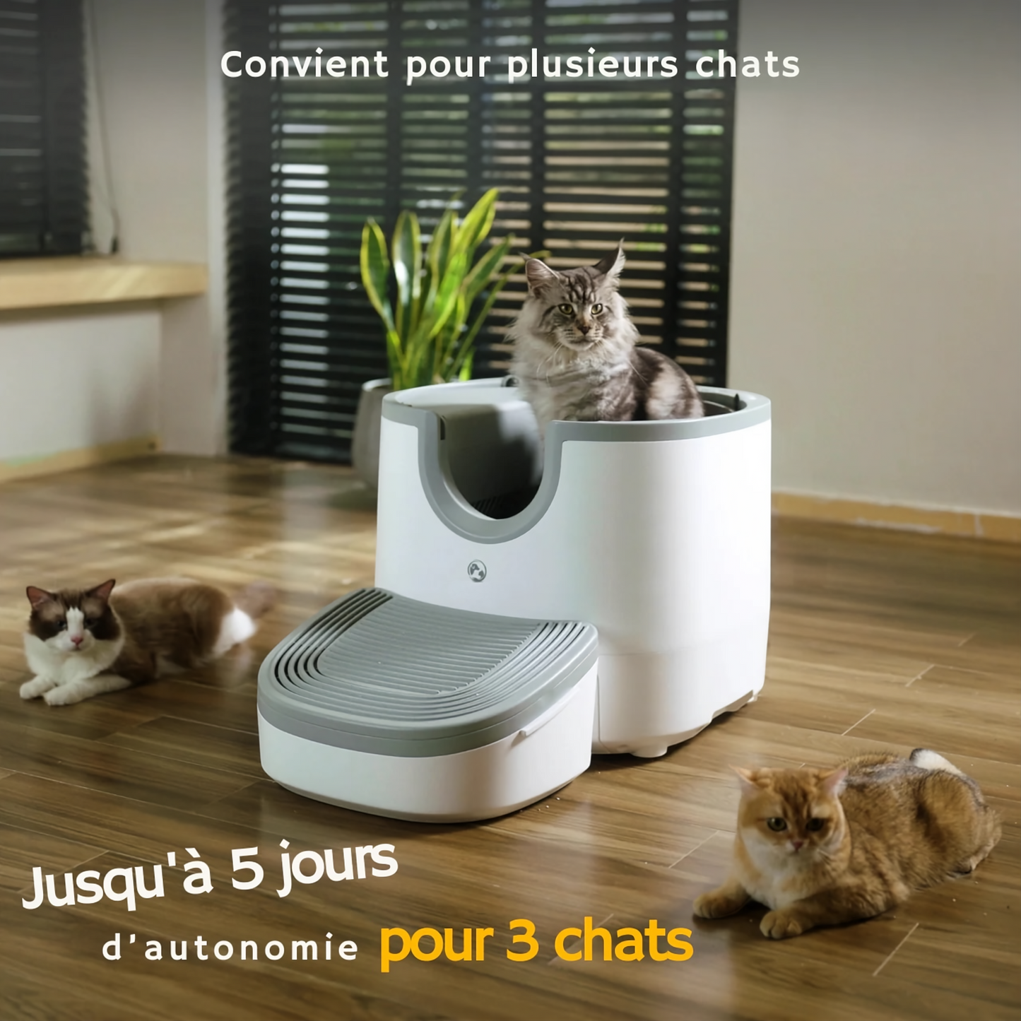 Litière automatique pour chat – autonettoyante, silencieuse et sans odeur