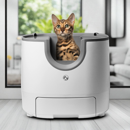 Litière automatique pour chat – autonettoyante, silencieuse et sans odeur