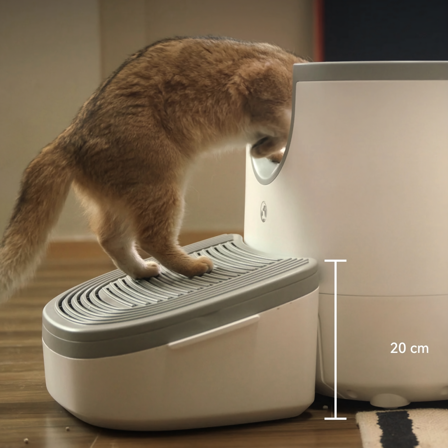 Rampe d’accès pour chat – confort, propreté et rangement intelligent