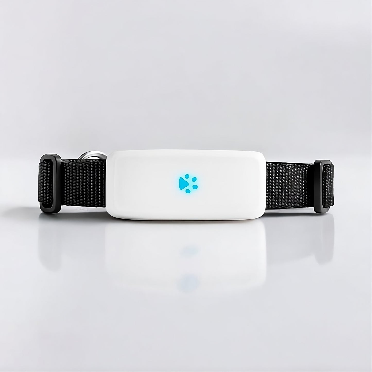 Collier GPS pour chat – traceur étanche et précis – TeckLocate