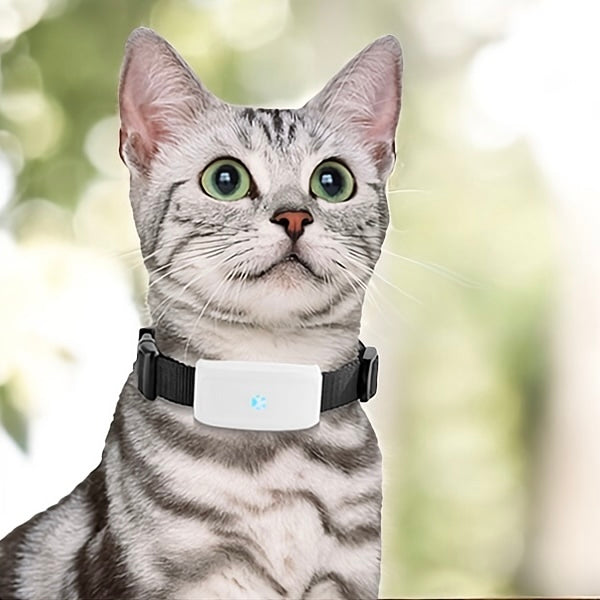 Sécurité & Localisation