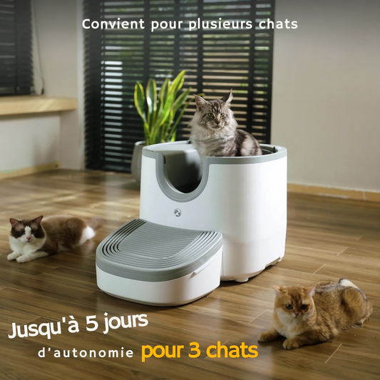 Litière automatique pour chat – autonettoyante, silencieuse et sans odeur