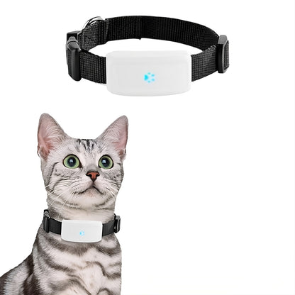 Collier GPS pour chat – traceur étanche et précis – TeckLocate