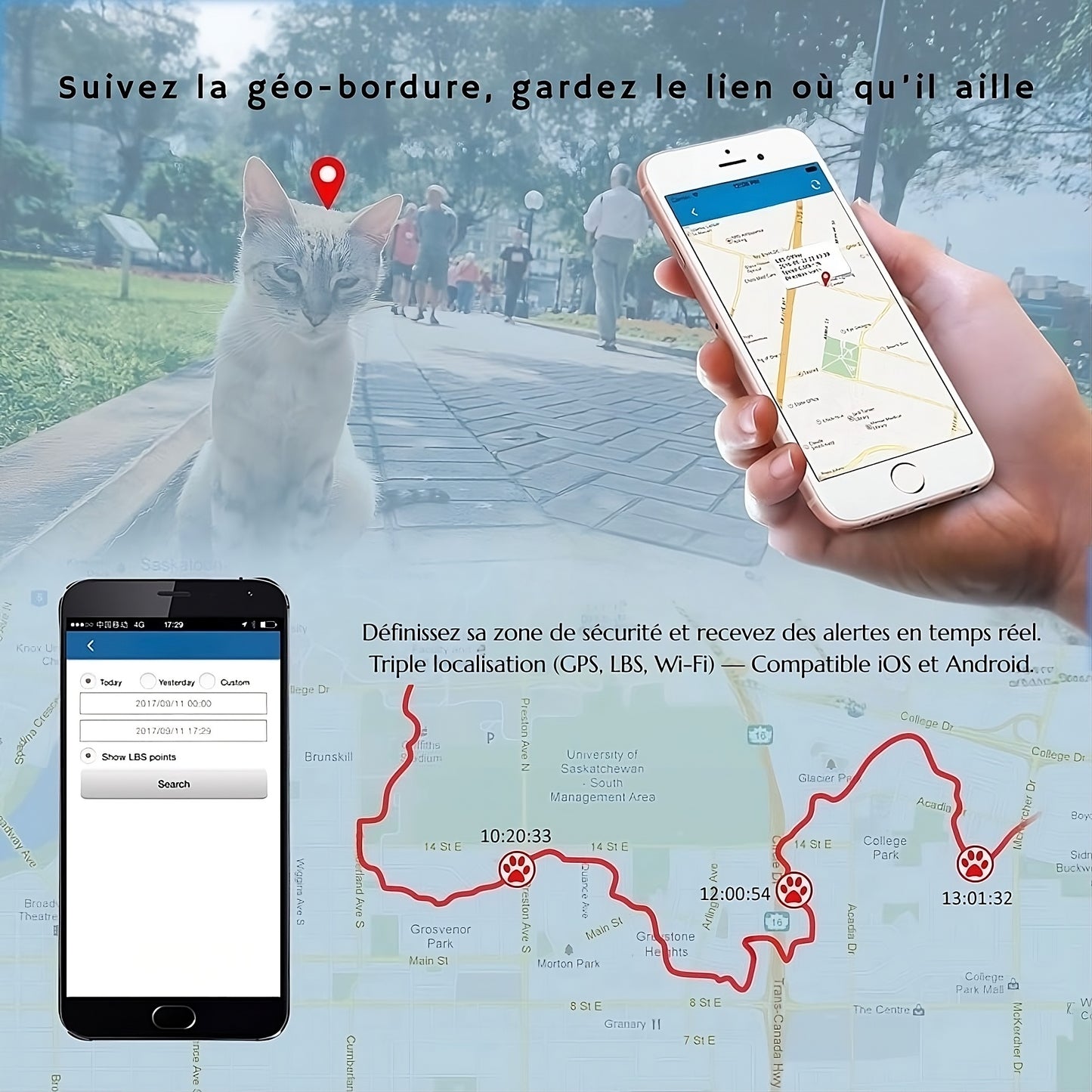 Collier GPS pour chat – traceur étanche et précis – TeckLocate