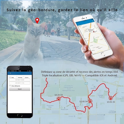 Collier GPS pour chat – traceur étanche et précis – TeckLocate