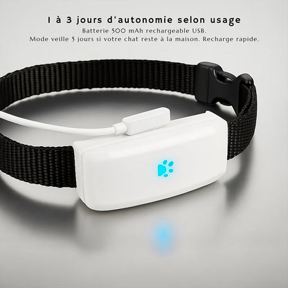 Collier GPS pour chat – traceur étanche et précis – TeckLocate