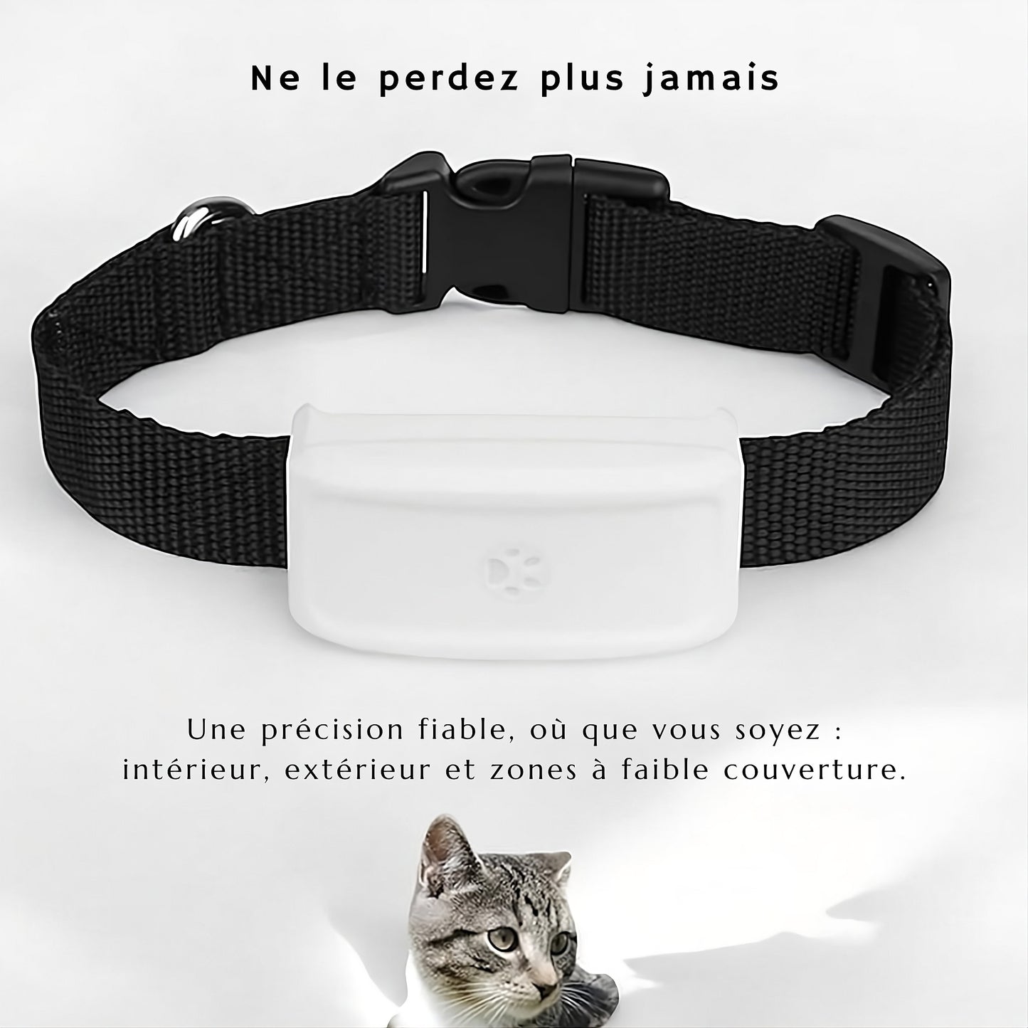 Collier GPS pour chat – traceur étanche et précis – TeckLocate