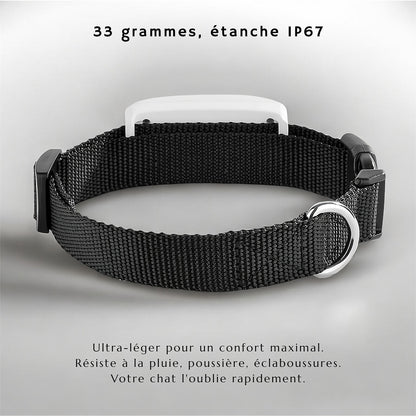 Collier GPS pour chat – traceur étanche et précis – TeckLocate