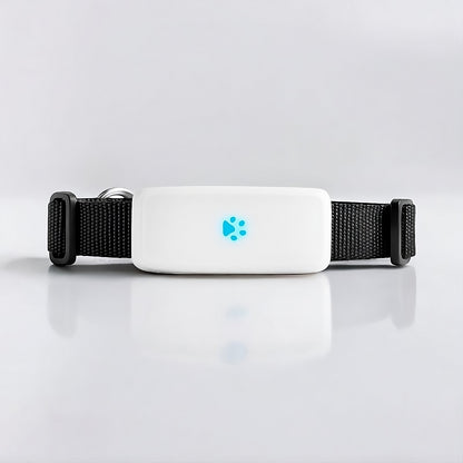 Collier GPS pour chat – traceur étanche et précis – TeckLocate