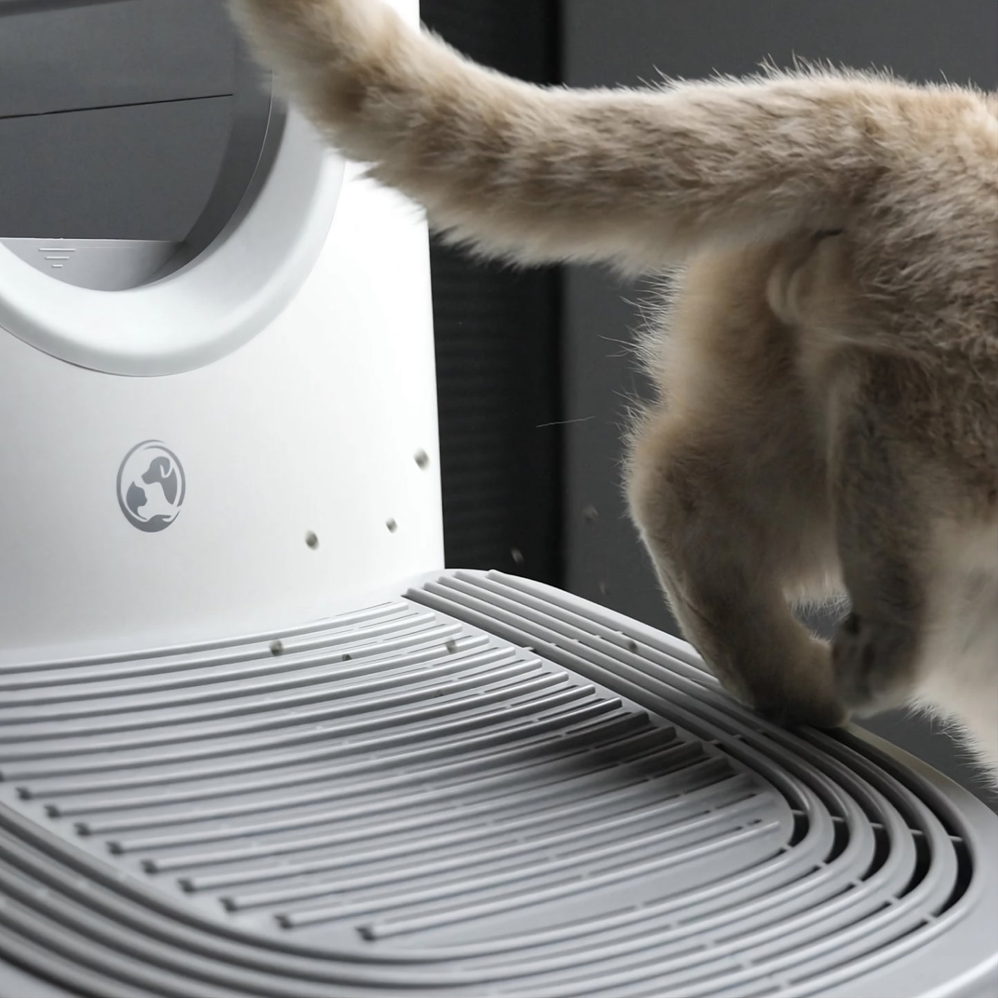 Rampe d’accès pour chat – confort, propreté et rangement intelligent – TeckStep